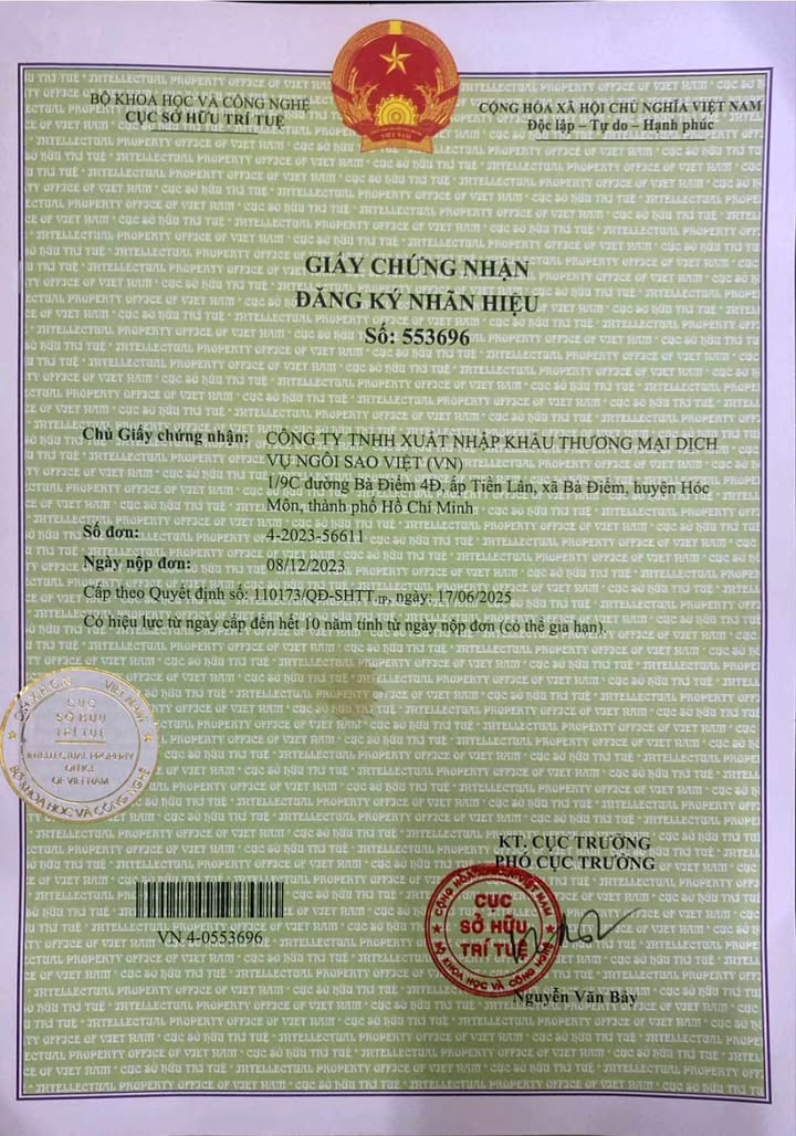 Máy đếm tiền chính hãng là gì? Nguồn gốc và vai trò của máy đếm tiền giấy chứng nhận