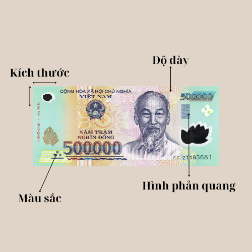 Quản Lý Tiền Mặt Hiệu Quả Tại Trạm Xăng CTY TNHH XNK TMDV NGÔI SAO VIỆT